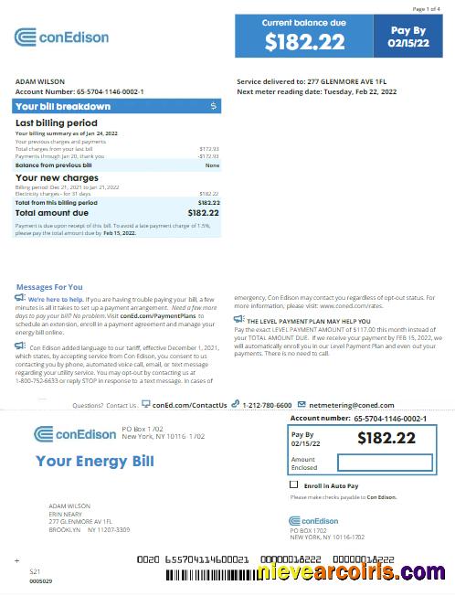 USA NEW YORK CONEDISON utility bill, version 2
